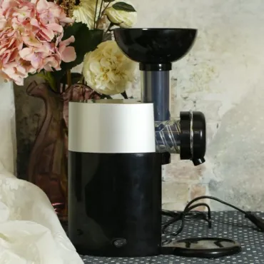 Домашна машина за плодов сладолед - Fruit yogurt machine