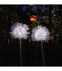 LED соларни лампи фойерверки 2бр. - LightsFireworks
