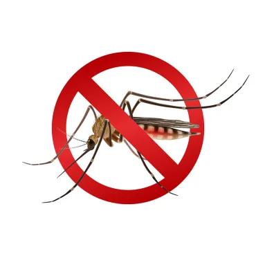Ултразвуков уред против комари и насекоми - Mosquito repellent