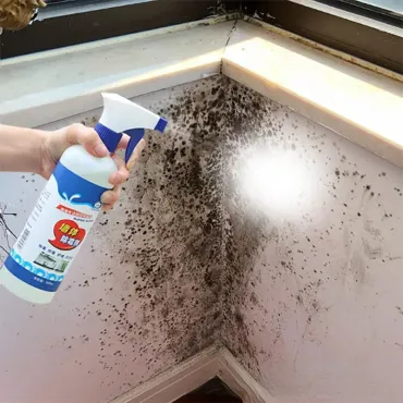Средство за премахване на мухъл и плесен с дълготраен ефект - MoldWallRemover