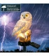 Соларна лампа за градина Сова - Сolar lamp Owl