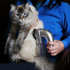 Прахосмукачка за косми от животни - Pet vacuum cleaner