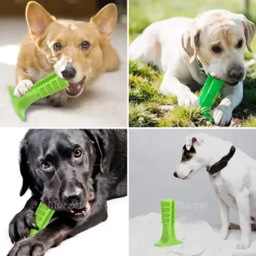 Играчка за куче, дентална четка за почистване на зъби - Dog toothbrush