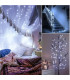 Соларни градински лампички гирлянд 10м. цветни- FairyLights