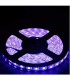 RGB LED Лента - Многоцветно Осветление за Всеки Интериор