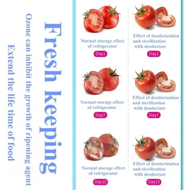 Акумулаторен генератор на озон от jumbo-catalog.bg