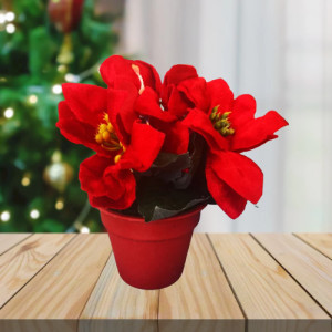 Изкуствена коледна звезда - Саксия | jumbo-catalog.bg