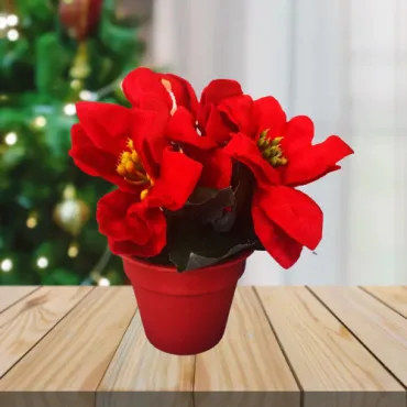 Изкуствена коледна звезда - Саксия | jumbo-catalog.bg