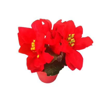 Изкуствена коледна звезда - Саксия | jumbo-catalog.bg