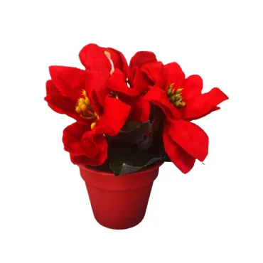 Изкуствена коледна звезда - Саксия | jumbo-catalog.bg