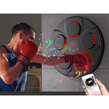 Бокс тренажор