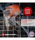 Чаши за фрапе - 310 мл. | jumbo-catalog.bg