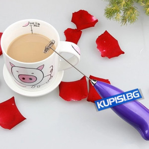 Мини Миксер за фрапе |Топ цена от jumbo-catalog.bg