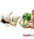 Уред за рязане на чесън Garlic Pro