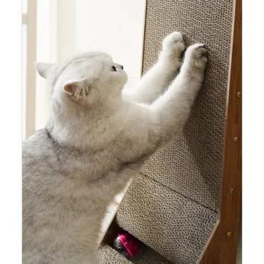 Чесалка за котки с топка за игра | jumbo-catalog.bg