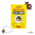 Klejova-pastka-dla-misej-Expert-Catch-Mouse-glue-traps-2-arkusi-13h18-sm-493317