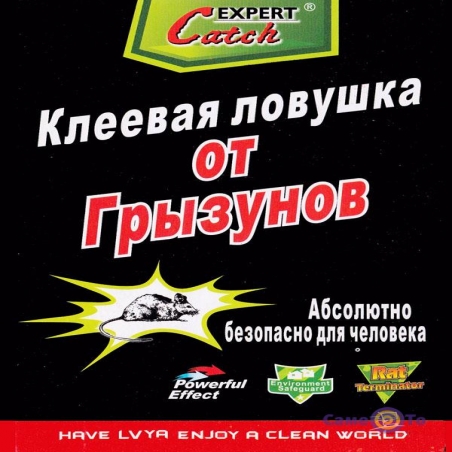 Klejova-pastka-dla-misej-i-grizuniv-Catch-Expert-17h24-sm-95117