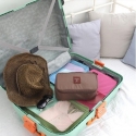 Organajzer-dla-niznoi-bilizni-Travel-Bag-HLHZB241-427483