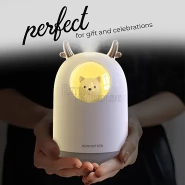 USB овлажнител-дифузер за въздух-300 ml