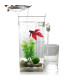 Самопочистващ се аквариум My Fun fish