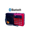 Музикална Bluetooth mp3/Radio система HOC