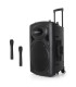 Активна мощна караоке Bluetooth тон колона BT15A