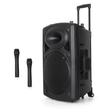 Активна мощна караоке Bluetooth тон колона BT15A