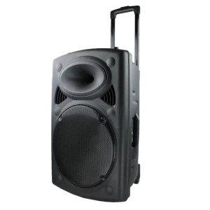 Активна мощна караоке Bluetooth тон колона BT12A