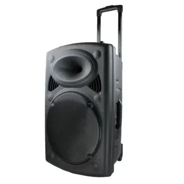 Активна мощна караоке Bluetooth тон колона BT12A