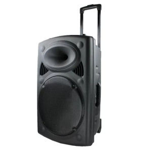 Активна мощна караоке Bluetooth тон колона BT12A