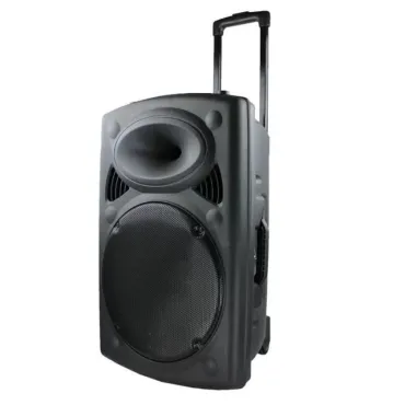 Активна мощна караоке Bluetooth тон колона BT12A