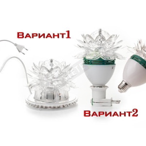 Диско крушка цвете