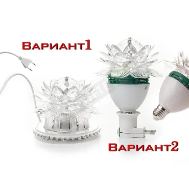 Диско крушка цвете