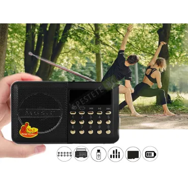 Мини мултифункционална музикална система - WS-239