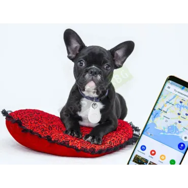 Bluetooth GPS ключодържател