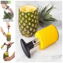 Ured-za-razane-na-ananas-ot-Spestetebg-01-11-10-