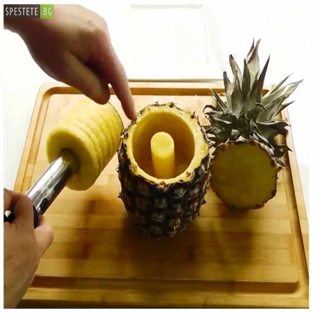 Ured-za-razane-na-ananas-ot-Spestetebg-01-11-10-