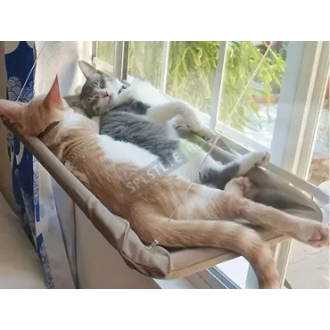 Котешко легло за прозорец