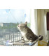 Котешко легло за прозорец
