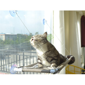 Котешко легло за прозорец