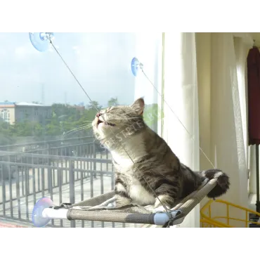 Котешко легло за прозорец